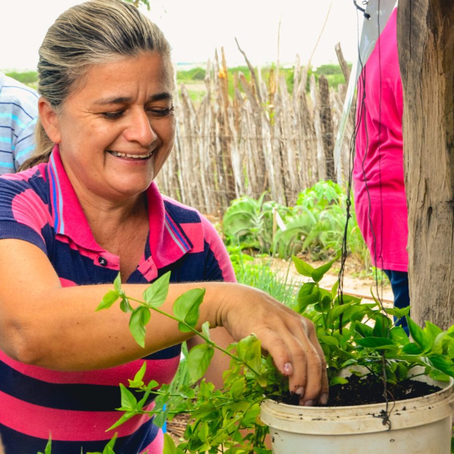 Visita Suinocultores-67